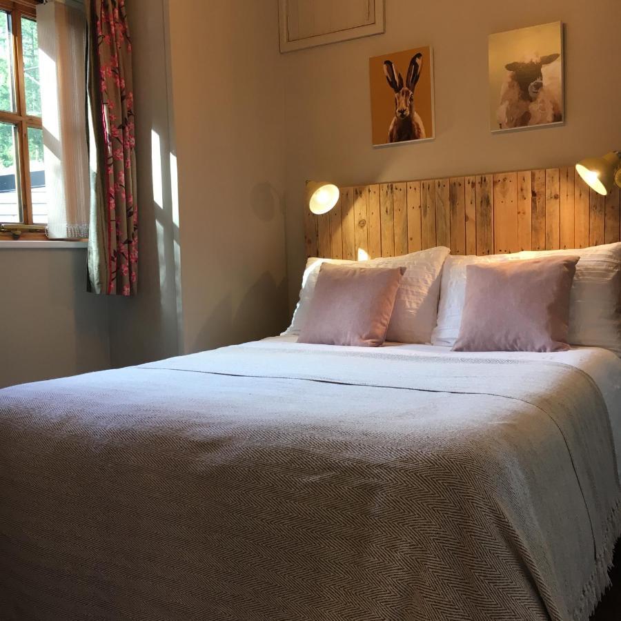 Romantic, Secluded Cottage In Cardinham Woods, Cornwall מראה חיצוני תמונה